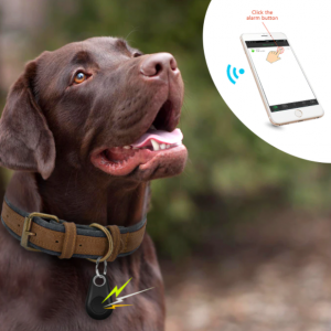 gps-trackers
