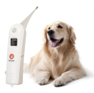 thermometers
